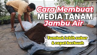 Download lagu dijamin subur dan cepat berbuah!! inilah 3 bahan utama media tanam jambu air dalam pot mp3