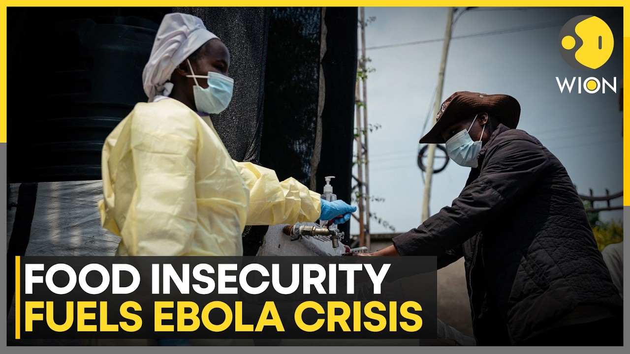 Ebola Crisis: World Food Programme Faces Massive Funding Shortfall | WION News