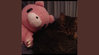 Cover art for scars 4 u