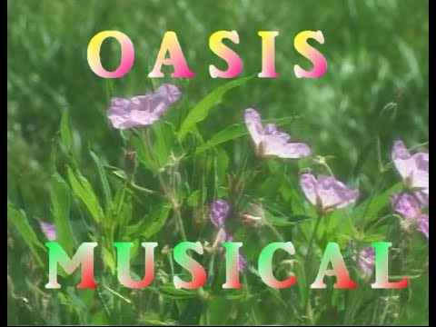 RADIO JUVENTUD... UN OASIS MUSICAL 2
