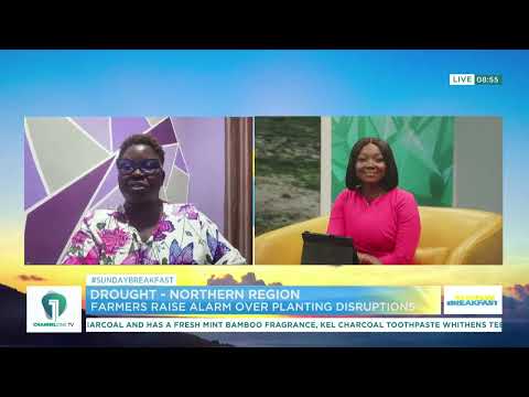 Drought in Northern Ghana Threatens Farming Season, Farmers Raise Alarm | Sunday Breakfast