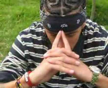 la solterona -  the lions