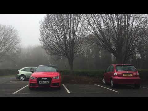 P.A.A - mîne stau acasă !