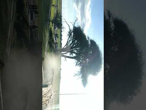 CASI SE DA VUELTA Rally-Cordoba-San Agustín