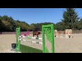 Hongre 7 ans CSO