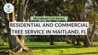 Full-Service Tree Care Company in Maitland, FL