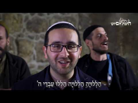 הַלְלוּיָה הַלְלוּ עַבְדֵי ה' //  Halelu Avdei Adonai || חיבת הפיוט 🎵