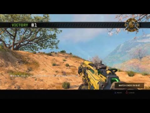 bo4-blackout-quad-win