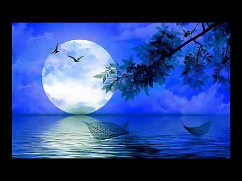 janak Song : Ek Pyaar Ka Nagma Hai_Different One