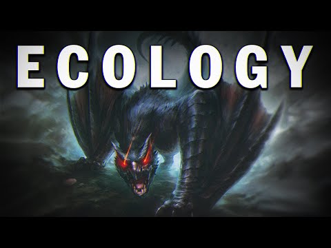The Nargacuga | Monster Hunter Ecology