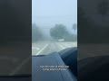 Thick South Florida Fog | #florida #fog #roadtrip #navodthenomad #shorts