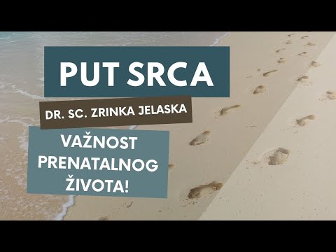 Put srca 2. 2. 2022. – Dr. sc. Zrinka Jelaska o važnosti prenatalnog života