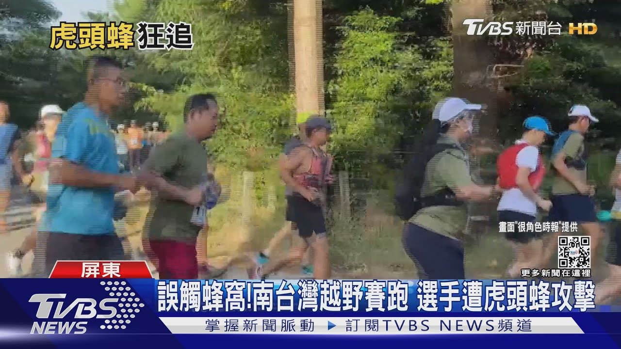 誤觸蜂窩！南台灣越野賽跑　選手遭虎頭蜂攻擊