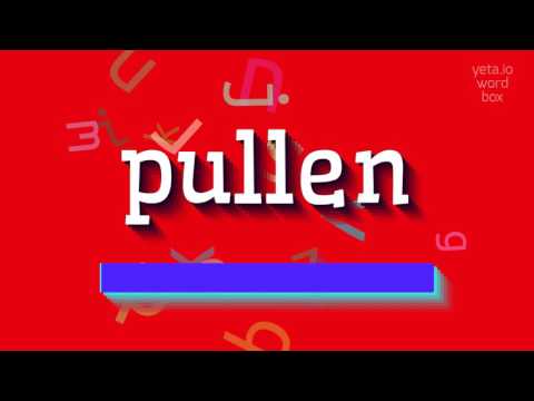 PULLEN - HOW TO SAY PULLEN? #pullen