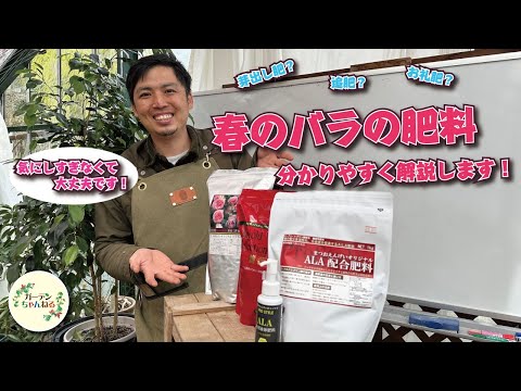 バラの茂みの天然肥料