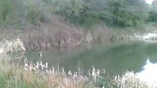 preview picture of video 'Chelmsford Marconi Ponds March 08'