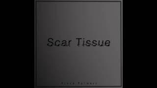 Scar Tissue Music Video