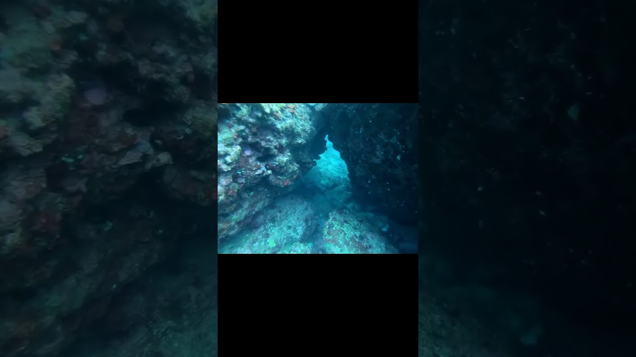 YouTube Short thumbnail