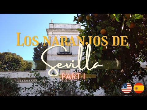 Los naranjos de Sevilla | The Orange Trees of Seville, Spain