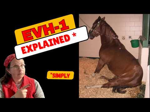 EHV- How the most common horse Virus can be so DEADLY?