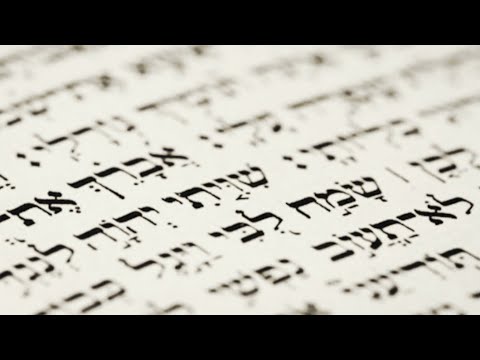 SALMO 1 (Felicità dei giusti e castigo degli empi - LA SACRA BIBBIA)