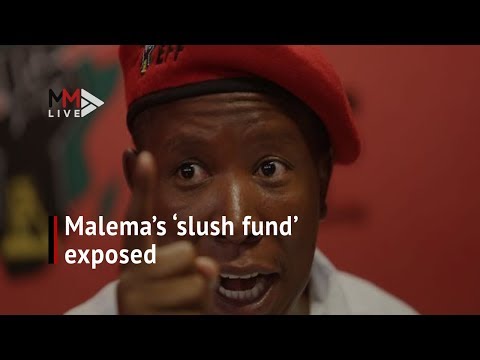 Explainer Julius Malema's links to VBS 'slush fund'