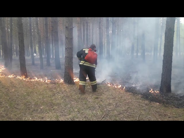 В Ангарске подожгли лес