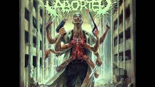 Aborted - Your Entilement Means Nothing (Feat Vincent Bennett)