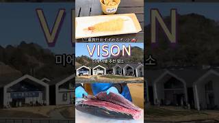 【一時帰国Vlog🇯🇵】三重旅行で絶対行きたい!VISONグルメ巡り🚗