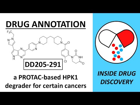 DD205-291 - a PROTAC-based HPK1 degrader - drug annotation