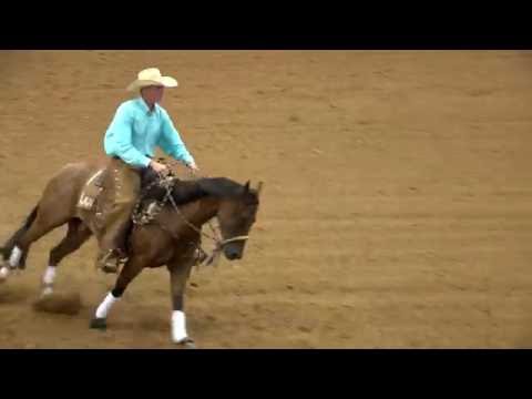 Roosters Pistolena-Rein