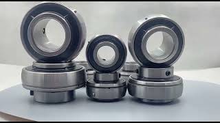SKF Bearing show