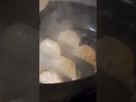 Chef cooking gyoza 🥟 #shorts #shortsvideo