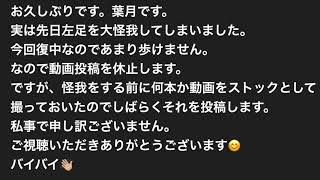 ご報告
