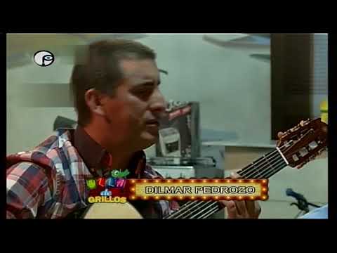 Dilmar Pedrozo - Camino de mi recuerdo [EN VIVO]