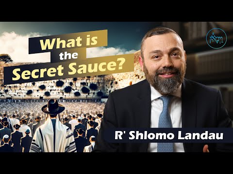 What is the Secret Sauce? | Rabbi Shlomo Landau