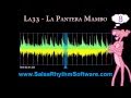 Salsa Timing - La Pantera Mambo (HD) 
