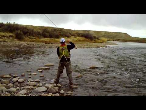 Great Fish on the Platte