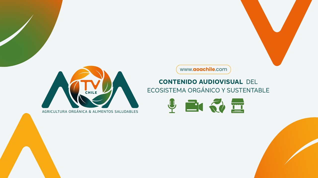 Show de cocina sustentable