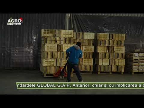Agricultura performantă dă roade – AGRO TV News