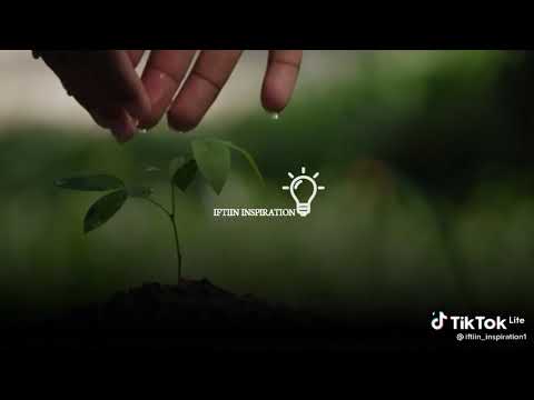 "NIN KU SIRAY HA FAALAYNIN"