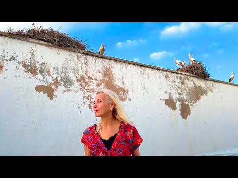 How to Be HAPPY Living ALONE in Your 50s