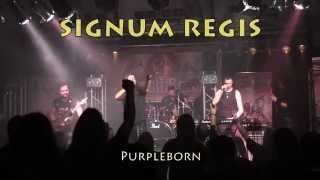 Video SIGNUM REGIS - Purpleborn live 7/11/2015