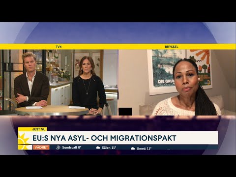 "Är man med i EU får man vara med och dela på de utmaningar som finns" - Nyhetsmorgon (TV4)