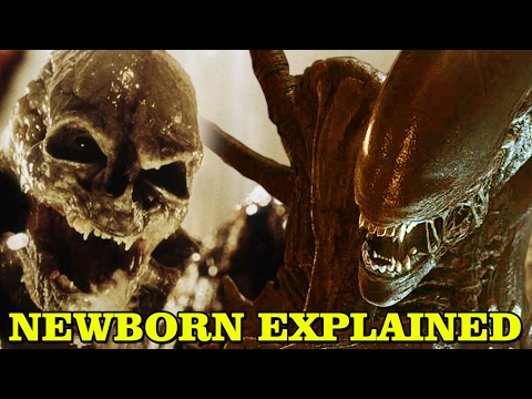 ALIEN: NewBorn Explained - Why Xenomorphs Didn't Attack NewBorn When it Killed the Queen? Video