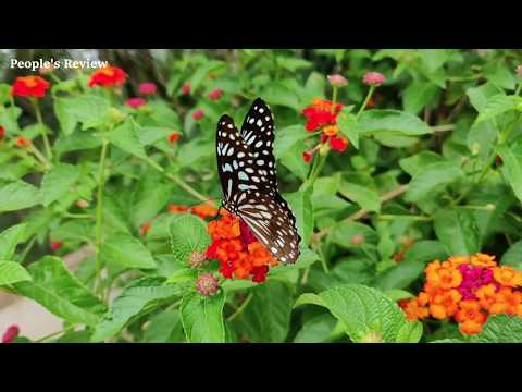 Взаимная подписка 2020! (Coopex & NEZZY - You And Me )