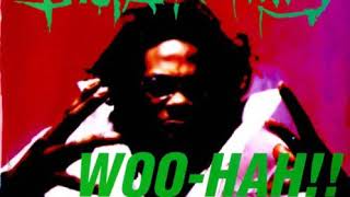Busta Rhymes - Woo Hah!! (Got You All in Check) (Clean)