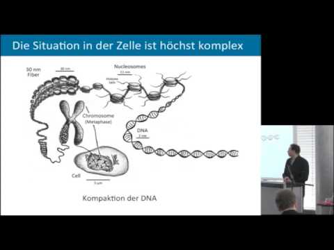 Das innere Leben von Zellen - Wie die Physik Licht in die Biologie bringt