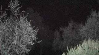 AFTERHOURS - Siete proprio dei pulcini