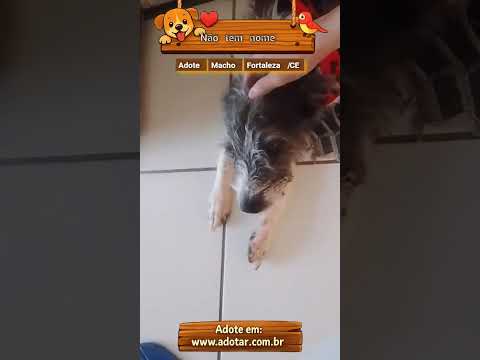 Vídeo de Não tem nome 